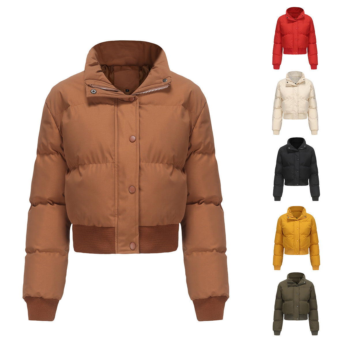 Warm Short Coat With Long Sleeve And High Collar