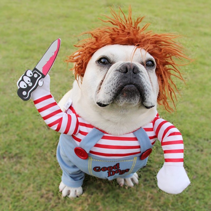 Funny Halloween Pet Adjustable Costume - A Trust Market