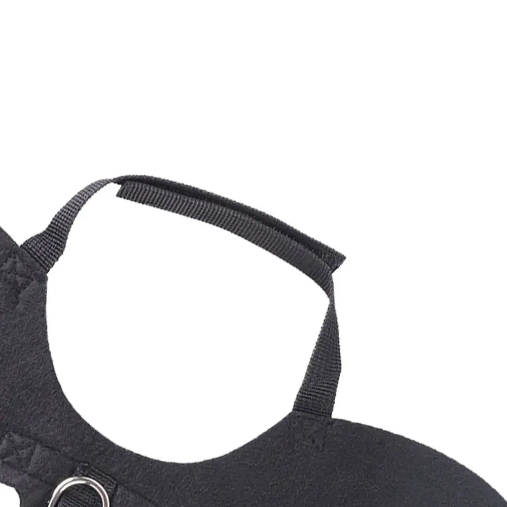 Cat & Dog Halloween Bat Wings Costume - A Trust Market