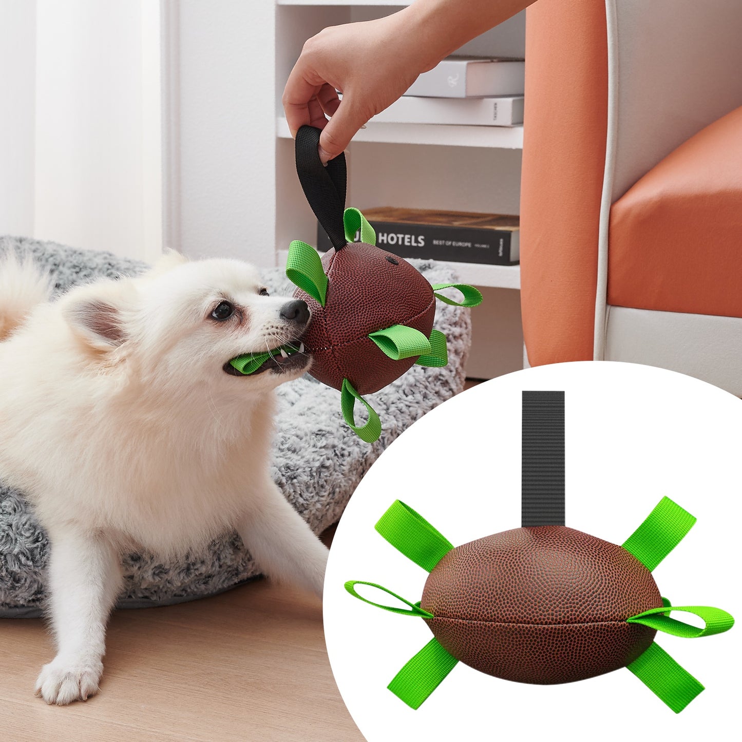American Football With Straps For Dog and Cats