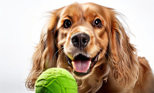 Understanding Dog Behavior: Decoding Your Pup's Signals