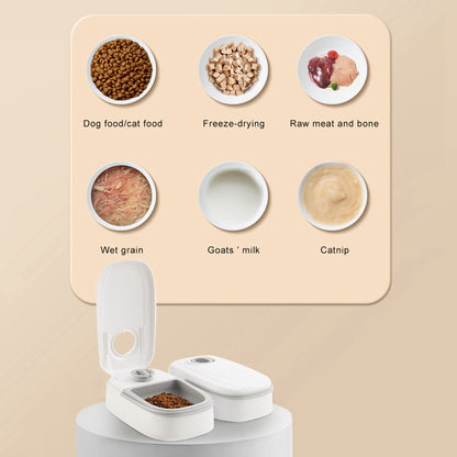Automatic Pet Feeder Smart Food Dispenser For Cats Dogs Timer Stainless Steel Bowl Auto Dog Cat Pet Feeding Pets Supplies - A Trust Market