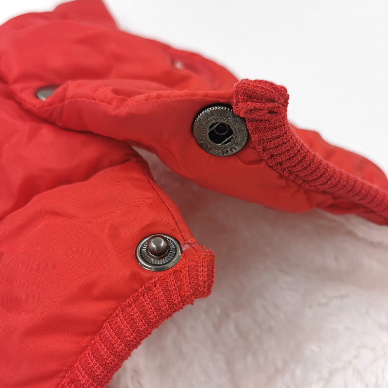 Protect Your Pet With a Warm Cotton Coat - A Trust Market