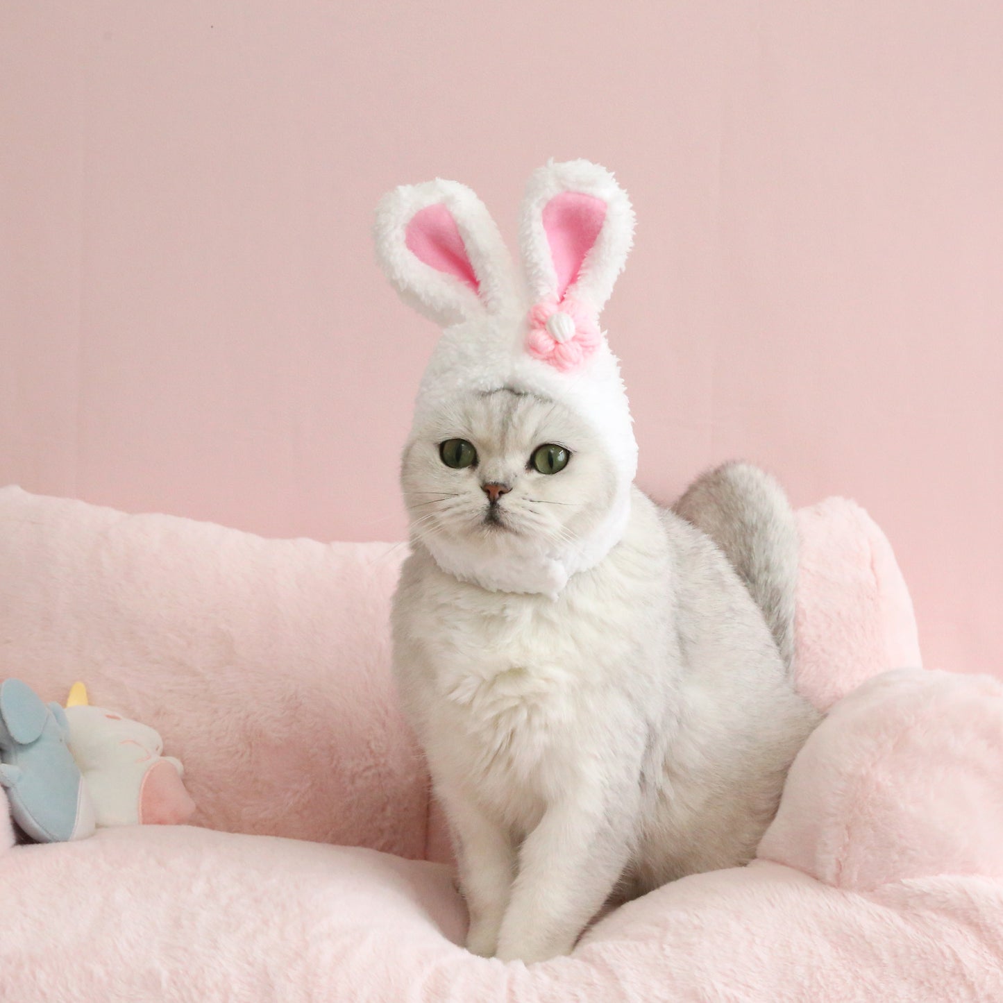 Cute Cat or Dog Rabbit Ears 🐰😸🐶