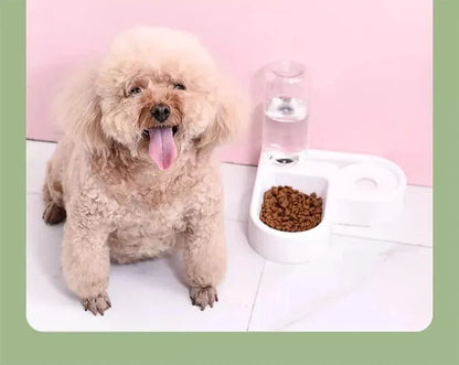 Innovative Double Dog and Cat Bowl