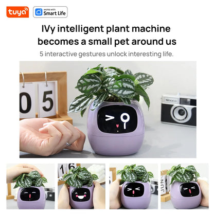 Ivy Smart Planter: Fun Over 49 Rich Expressions And AI Chips Make Raising Plants Easy