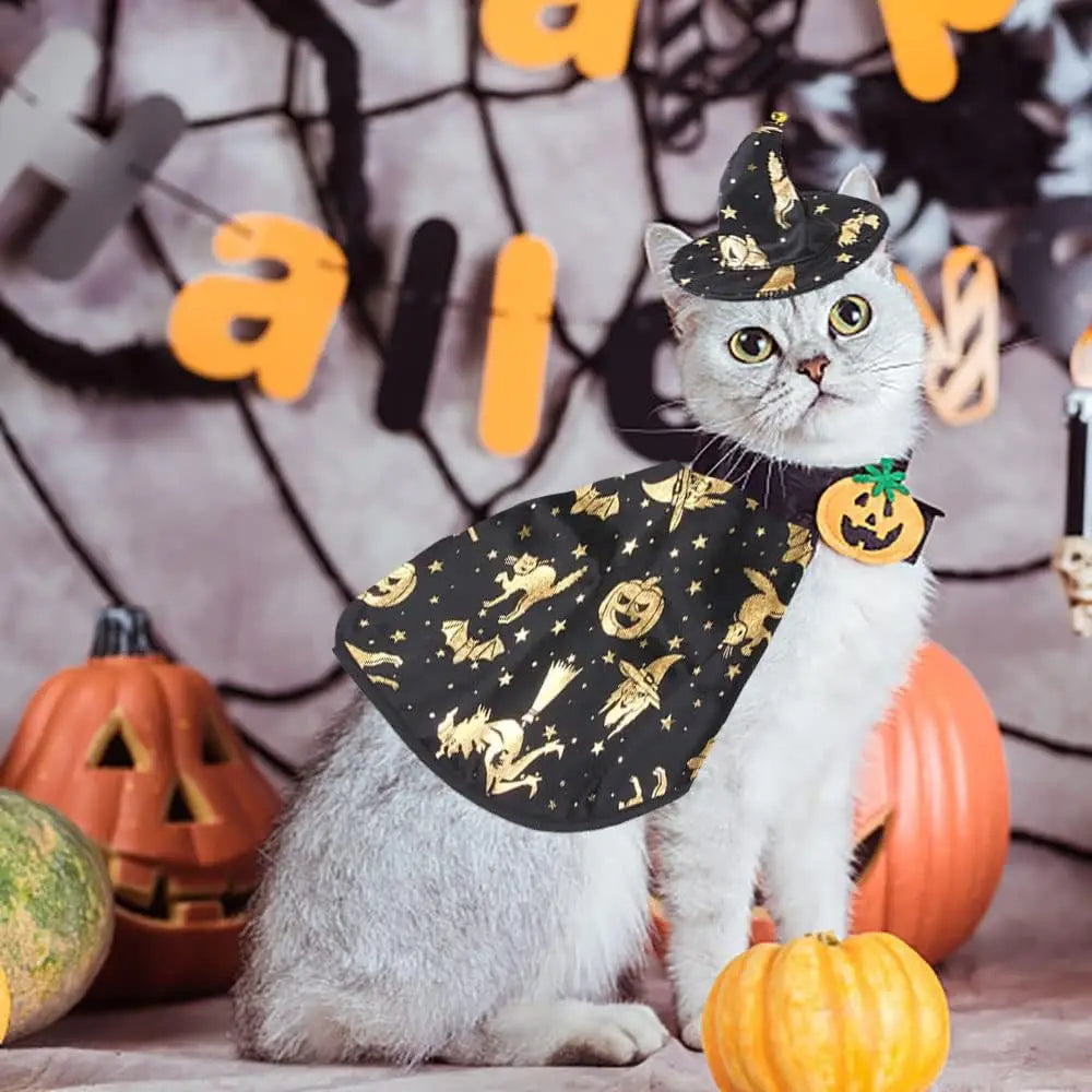 Dogs & Cats Cape and Hat Halloween Wizard Costume - A Trust Market