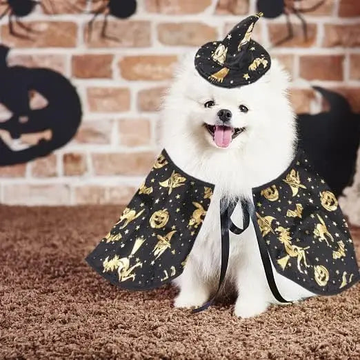 Dogs & Cats Cape and Hat Halloween Wizard Costume - A Trust Market