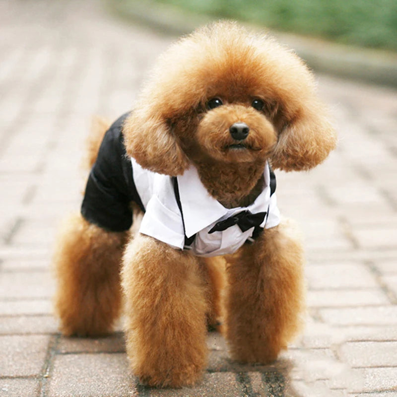 Incredibly Comfort Dog Clothes - Handsome Pets Dog Suit Dress Jumpsuit - A Trust Market