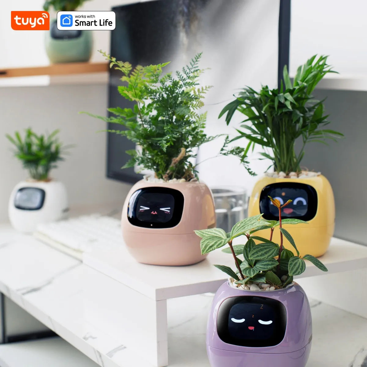 Ivy Smart Planter: Fun Over 49 Rich Expressions And AI Chips Make Raising Plants Easy