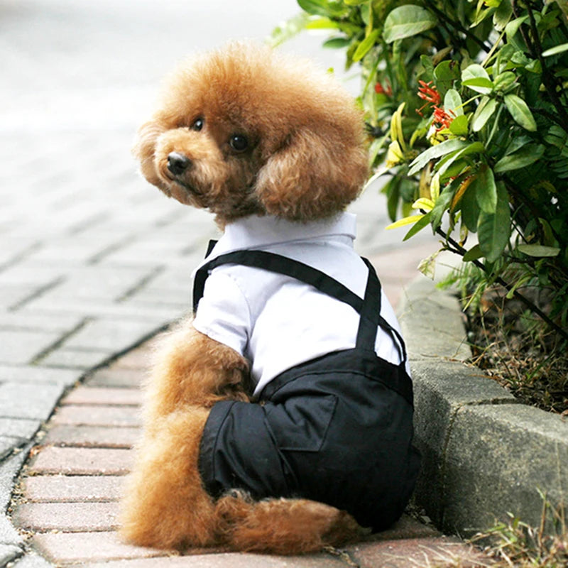 Incredibly Comfort Dog Clothes - Handsome Pets Dog Suit Dress Jumpsuit - A Trust Market