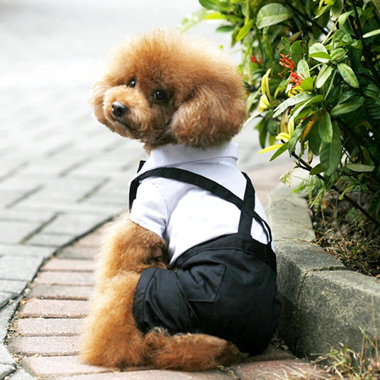Incredibly Comfort Dog Clothes - Handsome Pets Dog Suit Dress Jumpsuit - A Trust Market