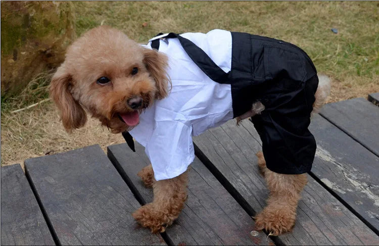 Incredibly Comfort Dog Clothes - Handsome Pets Dog Suit Dress Jumpsuit - A Trust Market