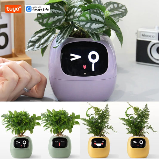 Ivy Smart Planter: Fun Over 49 Rich Expressions And AI Chips Make Raising Plants Easy