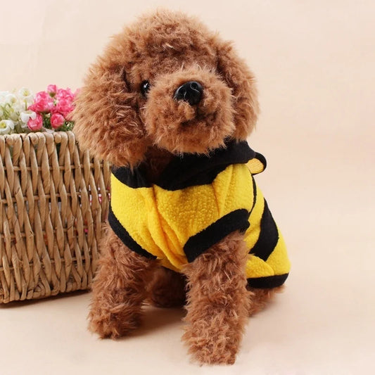 Funny Bee Pet Costume - A Trust Market