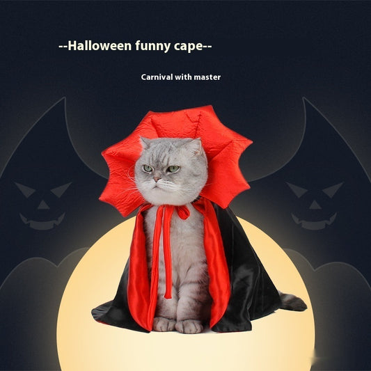 Cute Vampire Cat Halloween Costume - A Trust Market