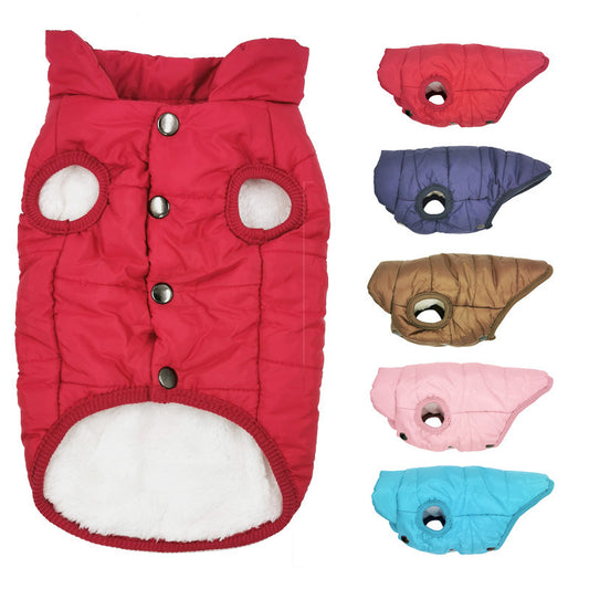 Protect Your Pet With a Warm Cotton Coat - A Trust Market