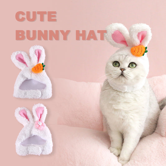 Cute Cat or Dog Rabbit Ears 🐰😸🐶