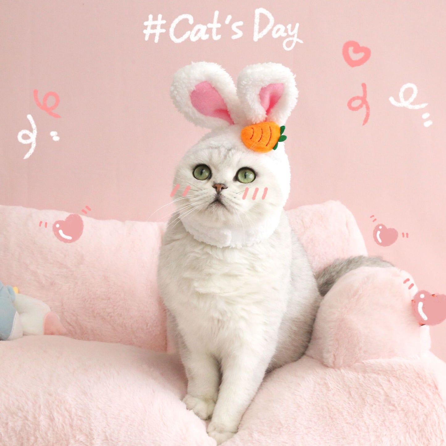 Cute Cat or Dog Rabbit Ears 🐰😸🐶